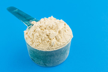 Protein powder in the measuring plastic spoon on blue background.