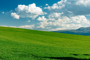 Fototapeta na wymiar Panorama of green val d'orcia hills in tuscany italy in spring, land of red wine and cypresses