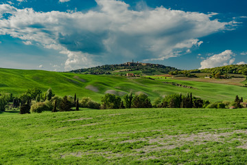 Obraz premium Panorama of green val d'orcia hills in tuscany italy in spring, land of red wine and cypresses