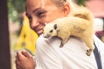 Playful squirrel playing with smiling woman on shoulder  © splendens