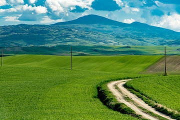 Fototapeta premium stunning landscape of green hills of the Val d'Orcia in Tuscany, the land of wine brunello of the city of Siena and Montalcino