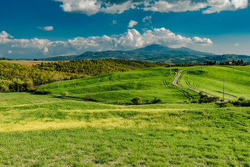 stunning landscape of green hills of the Val d'Orcia in Tuscany, the land of wine brunello of the city of Siena and Montalcino