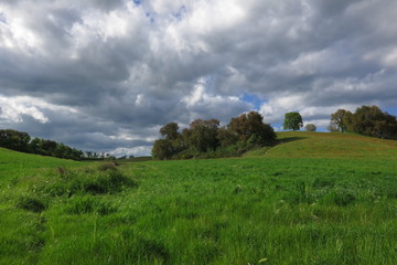 Obraz premium campagna