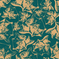 Seamless pattern background of sea shells.