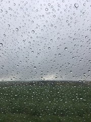 raindrops on window