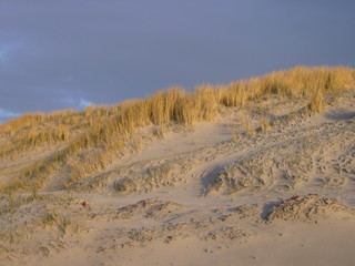 Strand auf Sylt