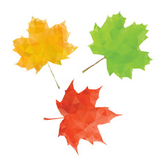 Maple leaf set. Green red and yellow low poly leaf