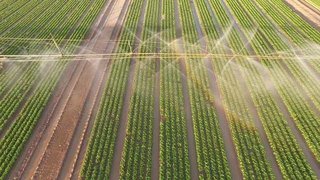 Aerial of a irrigation plant watering a salad field. Summer  in Germany.    resolution from a kopter