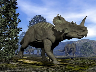 Fototapeta premium Centrosaurus dinosaurs - 3D render