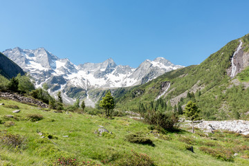 Fototapeta na wymiar Frühjahr im Hochgebirge der österreichischen Alpen