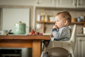 Baby eating a pomegranate fruit and curiously watching a fruit
