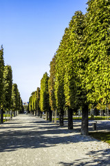 Augarten, Park, Allee, Österreich, Wien, 2. Bezirk