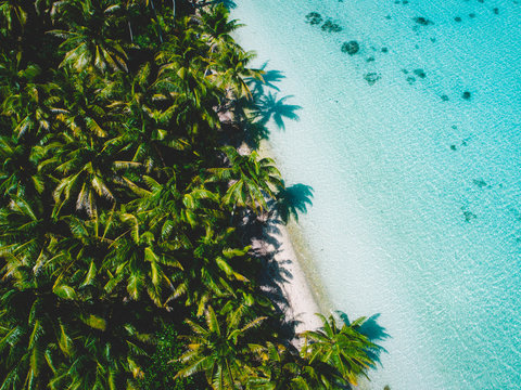 Aerial view of island beach with palm trees, Tahiti, South Pacific
