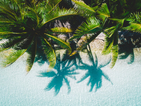 Aerial view of island beach with palm trees, Tahiti, South Pacific