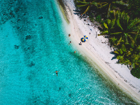 Aerial view of island beach with palm trees, people on beach and swimming in sea, Tahiti, South Pacific