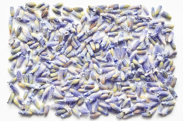 dry natural lavender