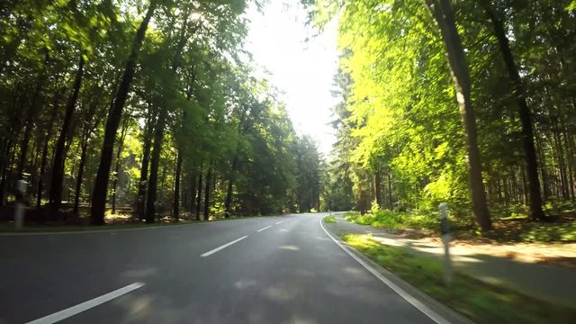 Drivers view On-Board-Camera (Germany, forest P.O.V.)