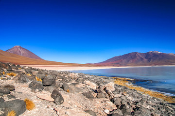 Altiplano volcanic landscape