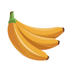 banana fruit tropical food vector illustration eps 10
