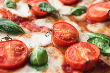 Traditional margarita pizza