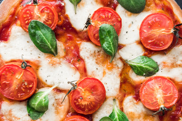 Traditional margarita pizza