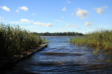 View of the lake in the sunny day