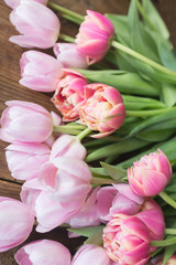 Pink tulips on the wooden background. Pink tulip. Tulips. Flowers. Flower background. Flowers photo concept. Colored tulips. Petals..Holidays photo concept. Copyspace. Peony Tulip