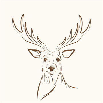 deer free spirit concept image vector illustration eps 10