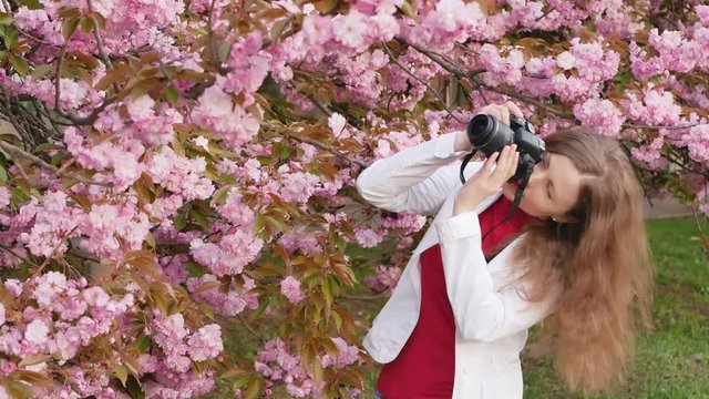 beautiful girl tourist takes photos of cherry blossom sakura tree spring pink flowers