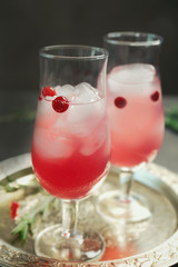 Glasses with delicious wine spritzer on silver tray