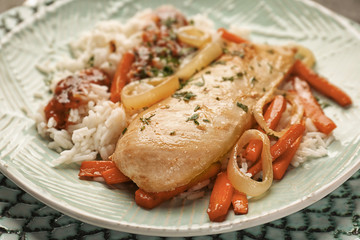 Plate with chicken breast with rice, closeup