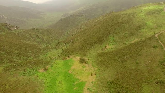 PERU: Unique Ecosystem (Lachay Hills) 