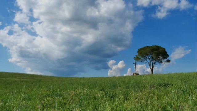 time lapse albero, croce, via francigena