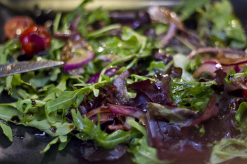 Close up of a fresh tasty salad 