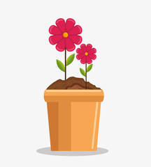 cute garden plants cultive vector illustration design