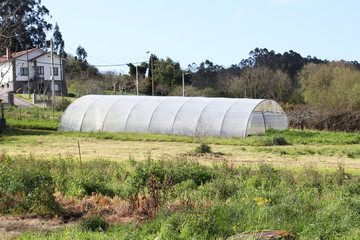 Hothouse