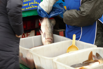 fresh fish selling