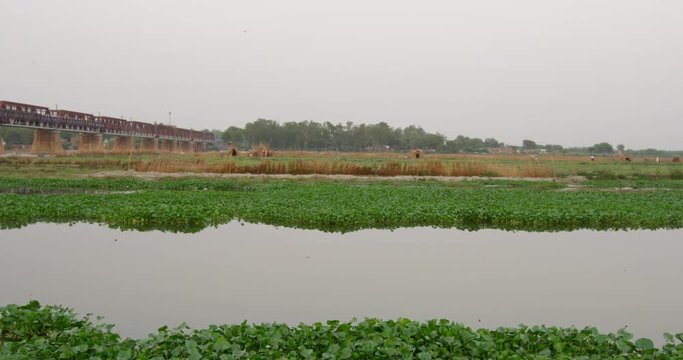 Kakri (Indian Cucumber), and Ghiya (Bottle Gourd) farmers work with the Taj Mahal as their backdrop