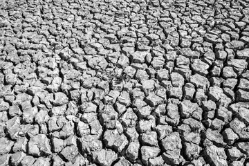 Crack Soil in the summer