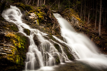 Forest Waterfall Closeup