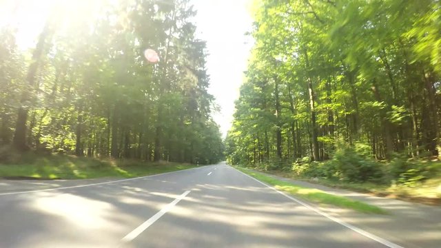 P.O.V. Video, driving in a forest in Germany