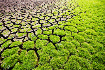 Crack of soil in the summer on the lake