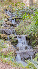 Water fall in Nature Preserve