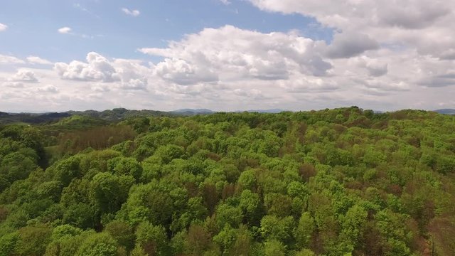 Aerial view of green forest with camera moving up and rotating