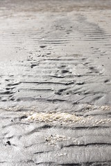 The evening sun shines down on the sand on the beach