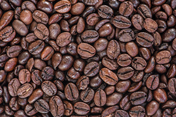 roasted coffee beans