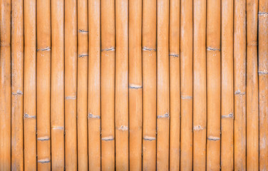 yellow bamboo fence background