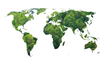 Foto op Plexiglas anti-reflex ecology world map, green forest design © tokkyneo