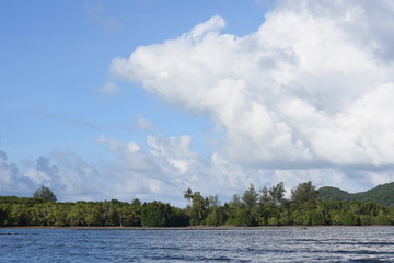 Trees along the sea shore at the Gulf of Thailand.