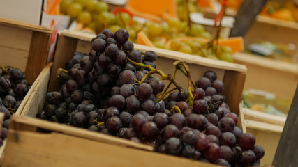 Close up of bunches of dark blue grapes.